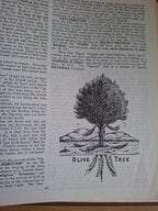 Dispensational Truth by Clarence Larkin – Second-Hand