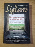 Ligdans: Depressie-vegters se Verhale van Hoop – Jeanne Els (Second-Hand)