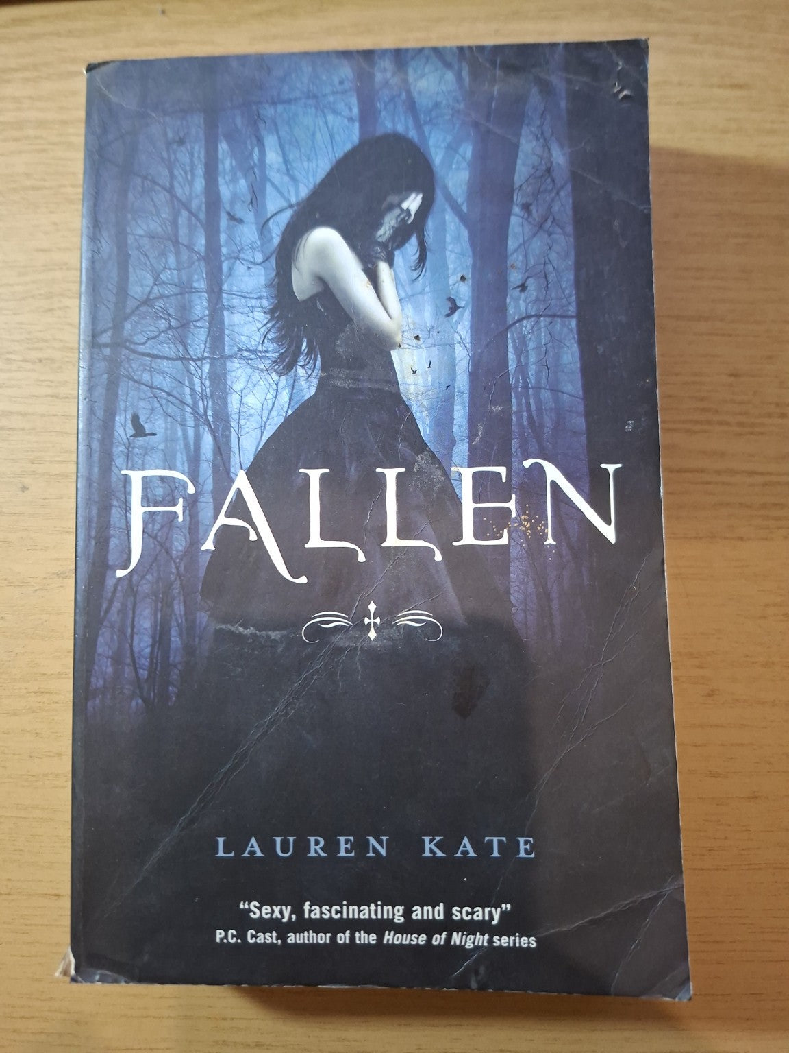 Fallen – Lauren Kate (Second-Hand)