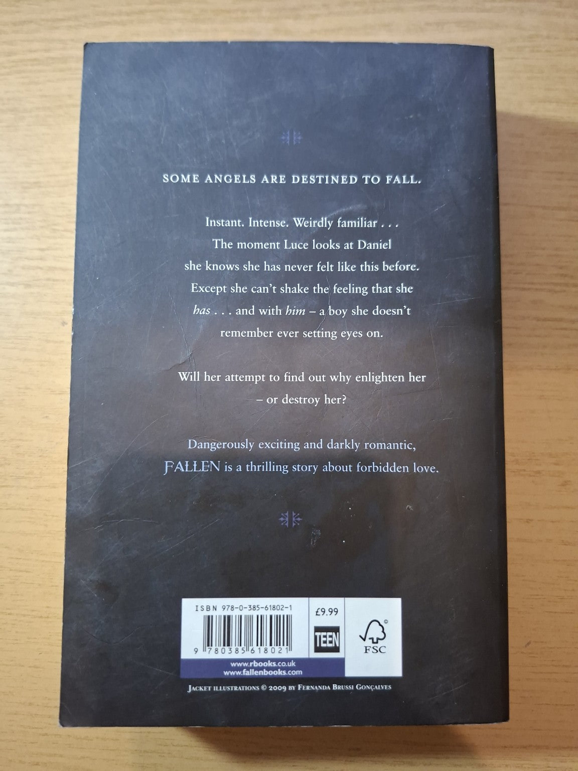 Fallen – Lauren Kate (Second-Hand)