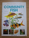 Community Fish – Peter Hiscock (Second-Hand)