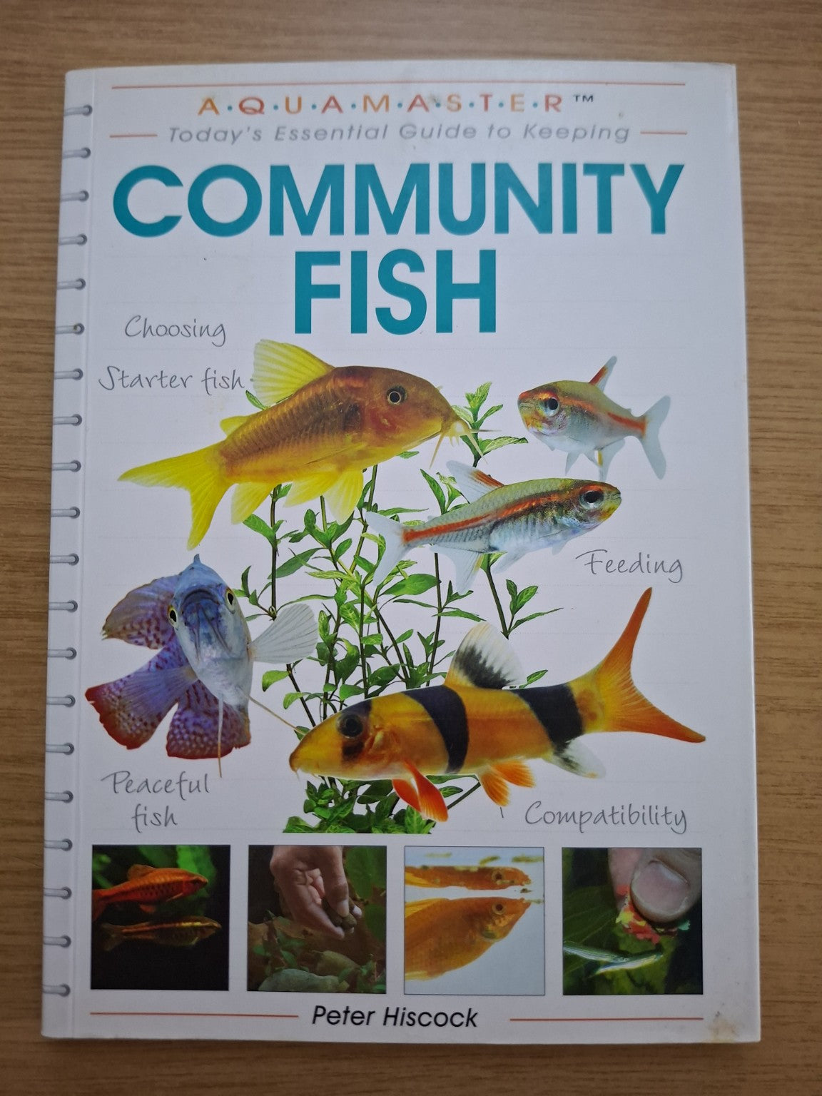 Community Fish – Peter Hiscock (Second-Hand)