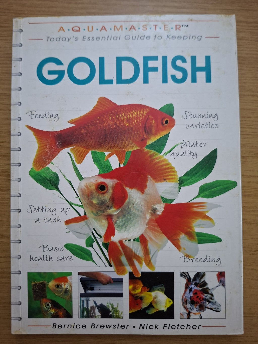 Goldfish – Bernice Brewster & Nick Fletcher (Second-Hand)