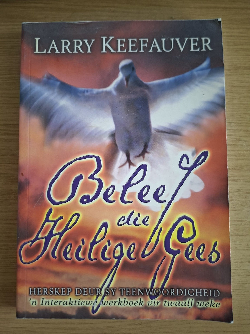 Beleef die Heilige Gees – Larry Keefauver (Second-Hand)