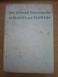The Pictorial Encyclopedia of Plants and Flowers (Second-Hand)