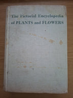 The Pictorial Encyclopedia of Plants and Flowers (Second-Hand)