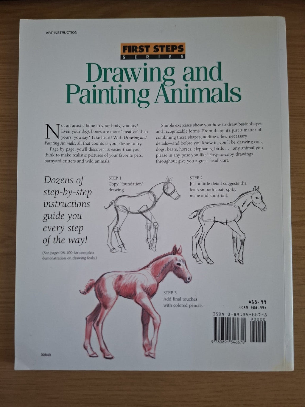 Drawing and Painting Animals – First Steps Series (Second-Hand)