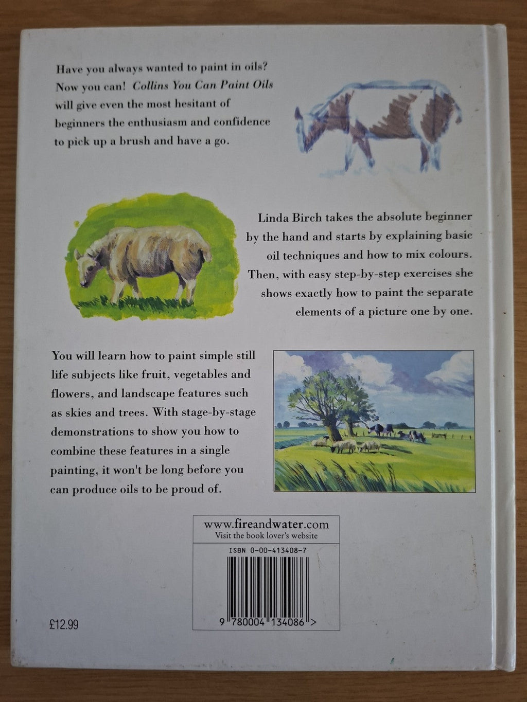 You Can Paint Oils – A Step-by-Step Guide for Absolute Beginners (Second-Hand)