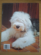 The World of Dogs – A Photographic Guide to Dog Breeds (Second-Hand)