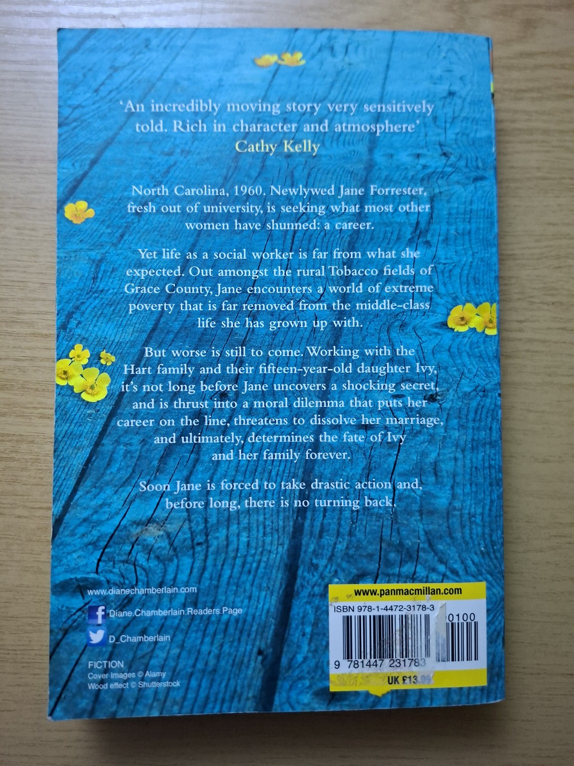 Necessary Lies – Diane Chamberlain (Second-Hand)