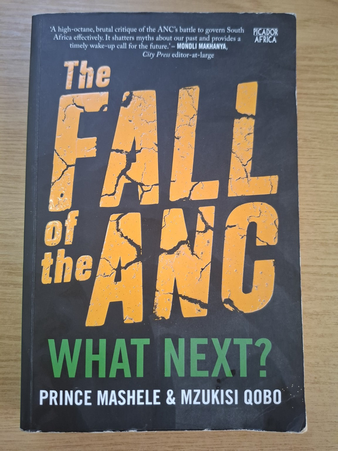 The Fall of the ANC: What Next? – Prince Mashele & Mzukisi Qobo (Second Hand Book)